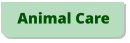 Animal Care