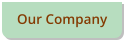 Our Company