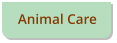 Animal Care