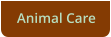 Animal Care