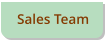 Sales Team