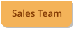 Sales Team