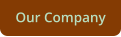 Our Company