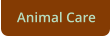 Animal Care