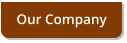 Our Company