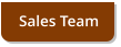 Sales Team