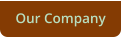 Our Company
