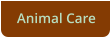 Animal Care