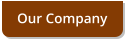 Our Company