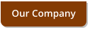 Our Company