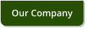 Our Company